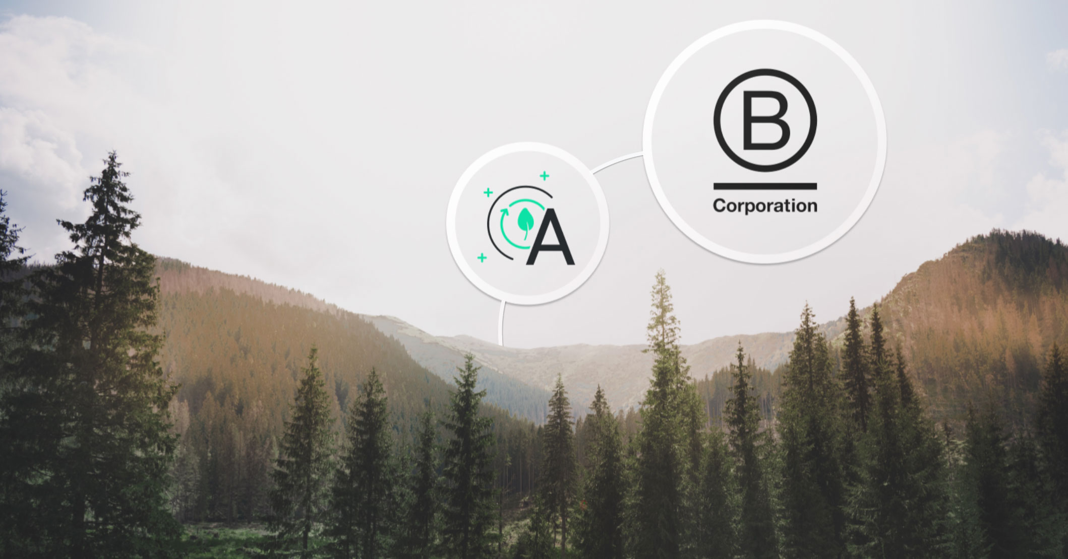 Archetype B Corp