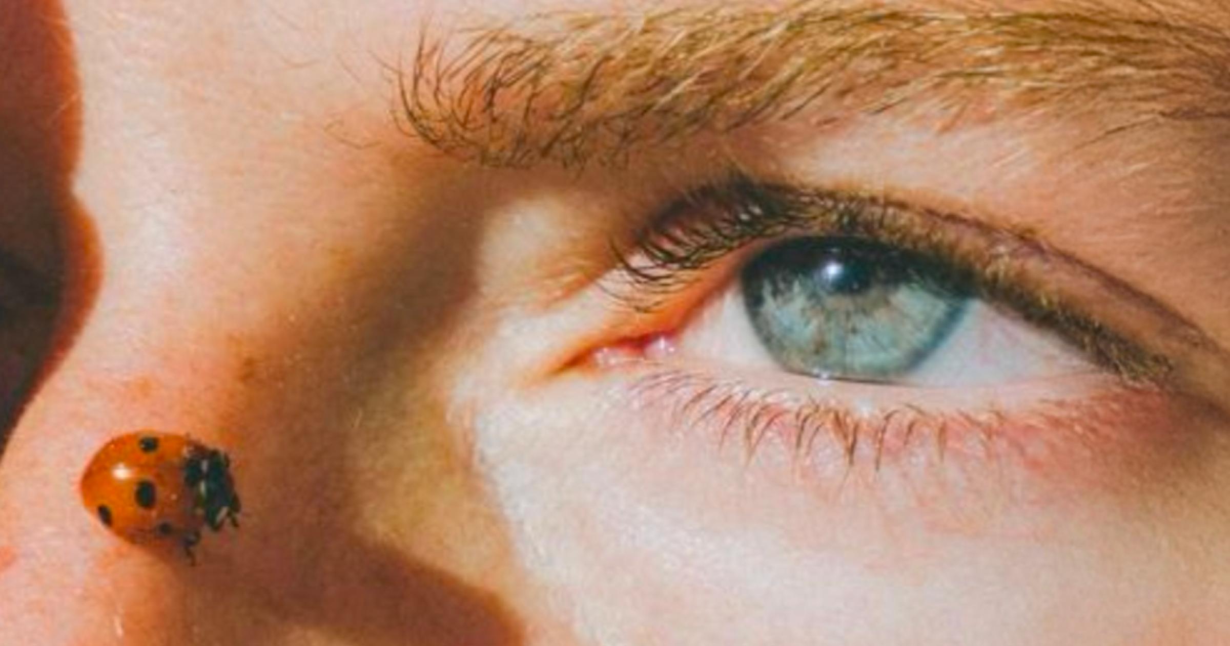 closeup of someones eye